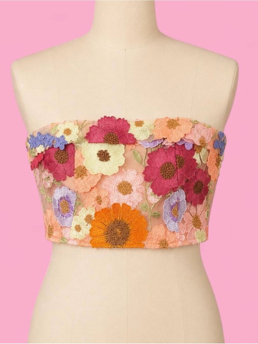 Altar’d State Grace 3D Floral Embroidered Bustier Top NWT L